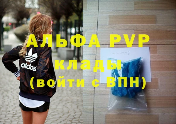 индика Алексин
