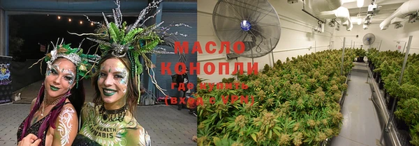 индика Алексин