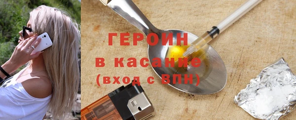 индика Алексин
