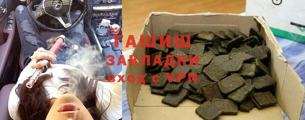 индика Алексин